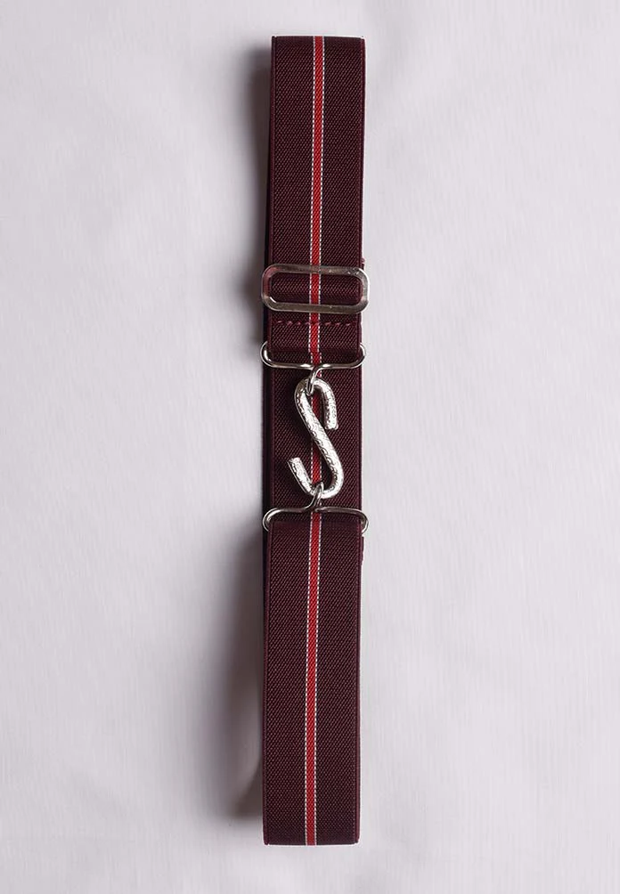 Elasticated Snake Belts (BR750) - Image 15