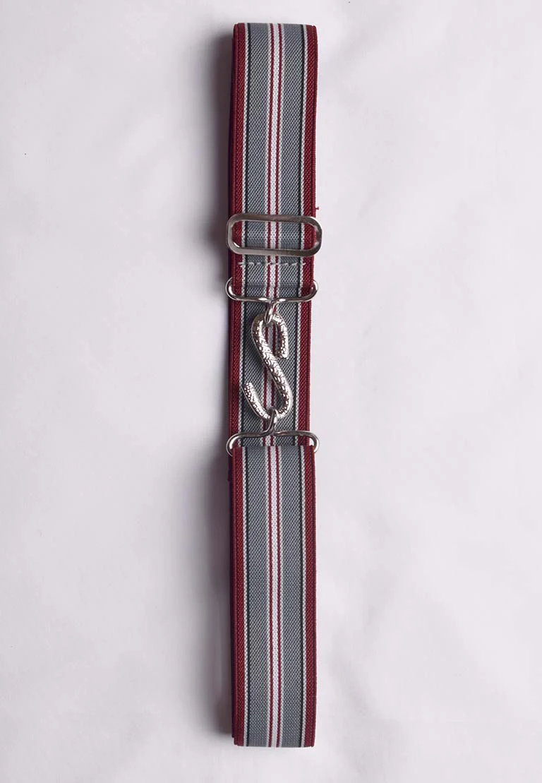 Elasticated Snake Belts (BR750) - Image 18